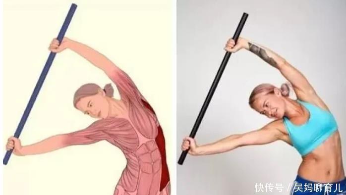 腘绳肌|全身拉筋3D图解,一步到位,在家也能强身健体