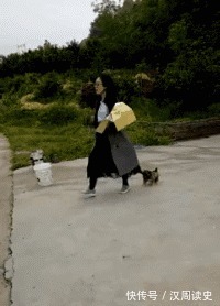 |搞笑GIF:不会咬裙子留人的狗子不是一只好狗子