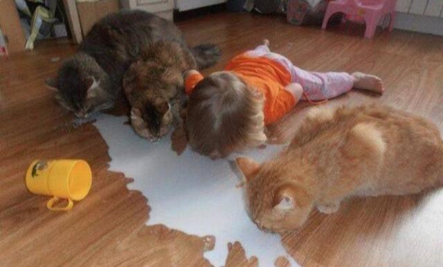 猪猪|孩子静悄悄,必定在作妖,家有神兽,爸妈们要打起精神啊