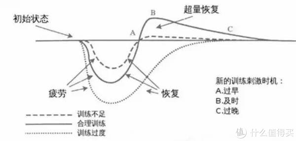 摩韵|铭记的减肥记录 篇三：筋膜枪就是暴利智商税？四款横测告诉你真相