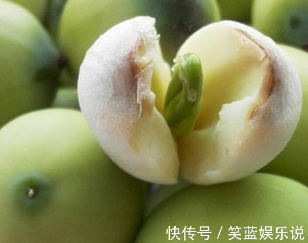 大拇|天然的“安眠药”，失眠多梦的克星，睡前吃几颗，摆脱失眠困扰！