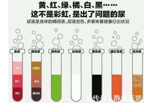 糖尿病肾病|患上糖尿病,尿液会发生什么变化?这3个变化还需警惕!