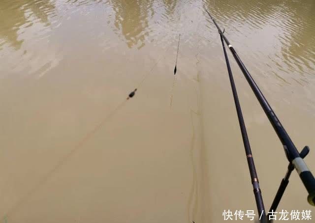 钓草鱼别怕累,这种钓法诱鱼速度最快,一来就是好几条