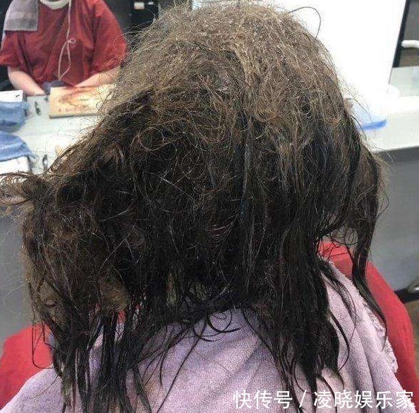 理发师|女孩两个月不洗头,刚进理发店,理发师被眼前的一幕惊呆了