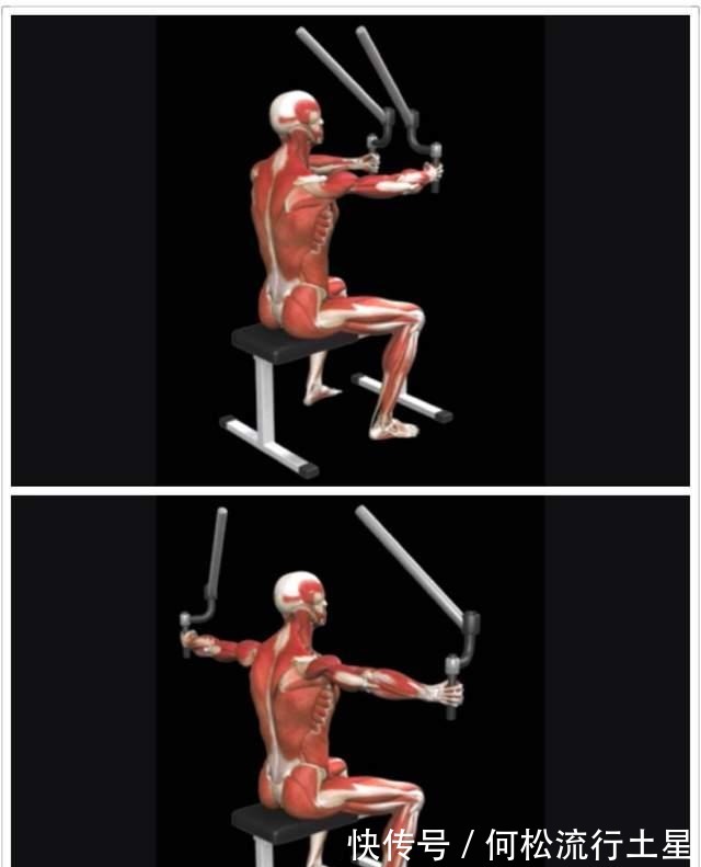 三角肌|健身大神都这样练肩膀，八大黄金动作（上）