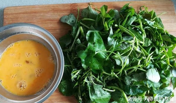 金雞納霜|這菜是身邊“小鈣王”，夏季吃它消暑解熱開胃，一定要早點知道！