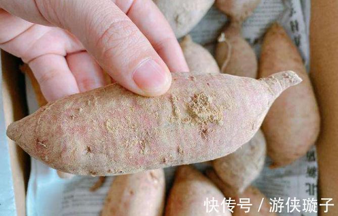 红薯随便放,难怪会发芽发霉!做好2个步骤,放一冬不烂不长芽