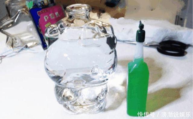 养护|多肉怕水其实错了！5个科属的多肉“水培”以后，会长得更好