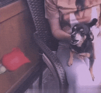 |搞笑笑话,动图:这酸爽,简直不敢相信!