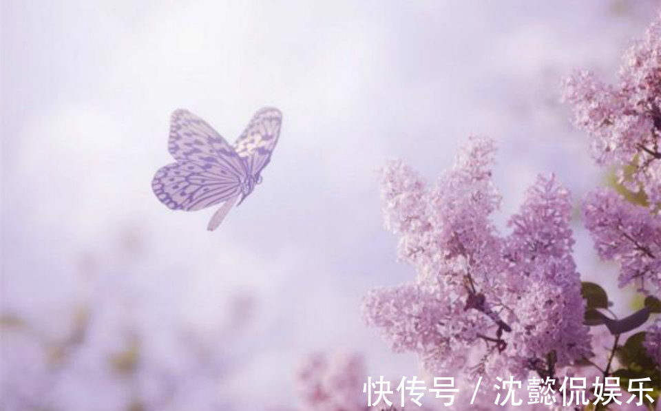 亡妻&纳兰性德做了个梦醒来写下这首词,从开篇美到结尾,句句令人断肠