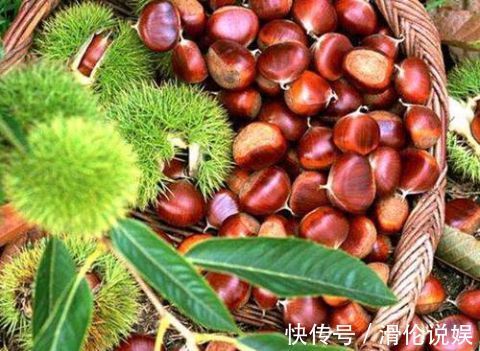 辅助治疗|秋天是板栗成熟的季节，多吃一点板栗，收获5个益处