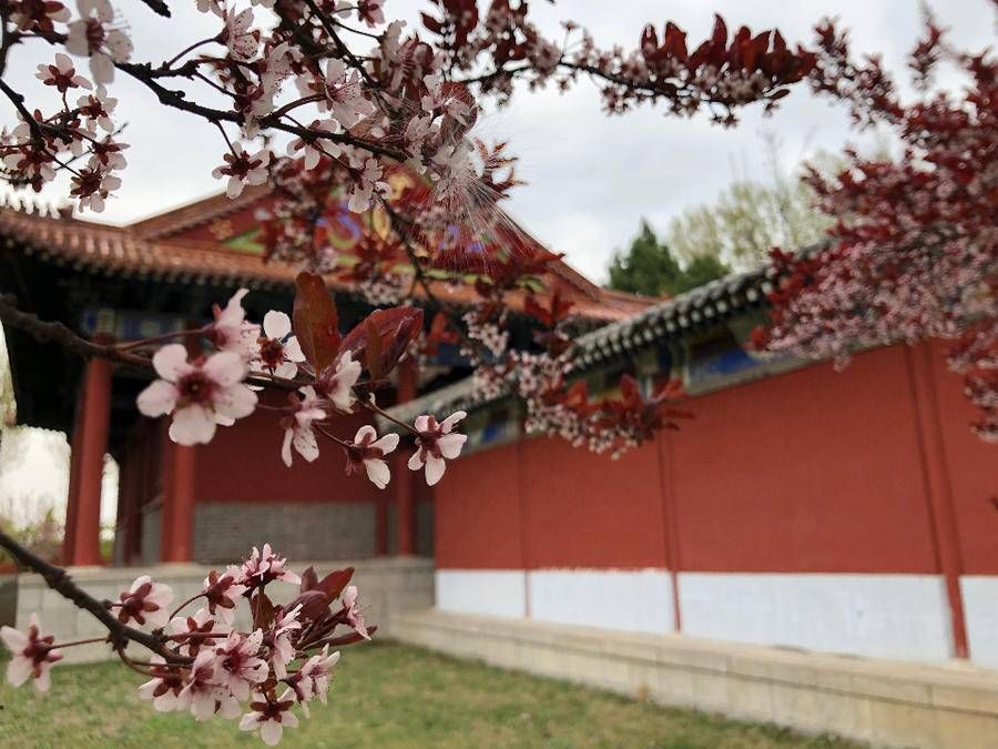 生活在别处|让我们用心看风景，不辜负自己生活的地方