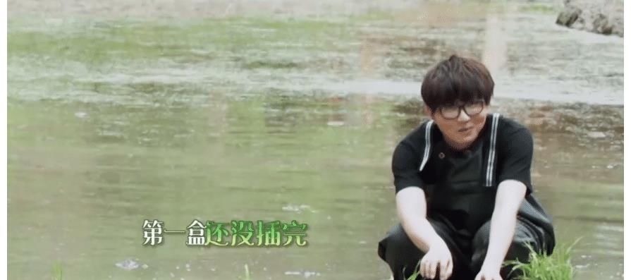 《向往5》将迎来观众最“喜爱”的嘉宾,五季来了4次都备受好评