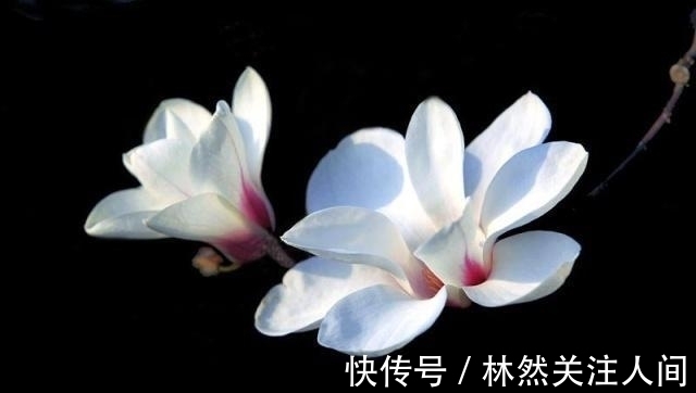 人生|做人,若是理不清这三种关系,人生会很苦