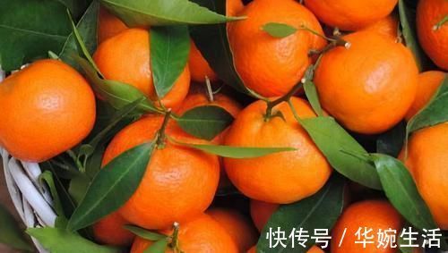 橘子|想长寿要会“吃”,常吃三种食物,清热降火、养血养肌、润肺化痰