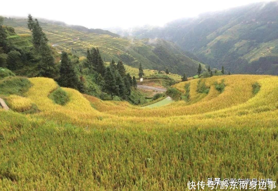 一组图加榜梯田的照片，一年四季都很美，不管几月份来都好看