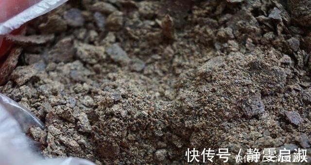 渔获|这东西专攻鲫鱼鲤鱼，开春钓鱼记得加一点，让你渔获轻松翻倍