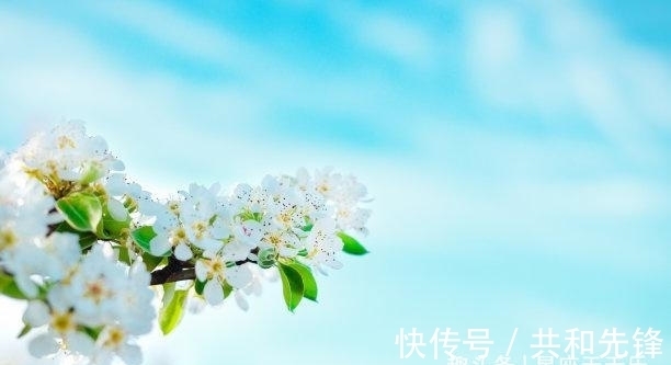 恩宠|7天内，缘分降临，百花齐放，旧爱转身，忘不掉，独得财神恩宠