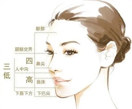 私藏!面部五官的美学标准丨科普篇