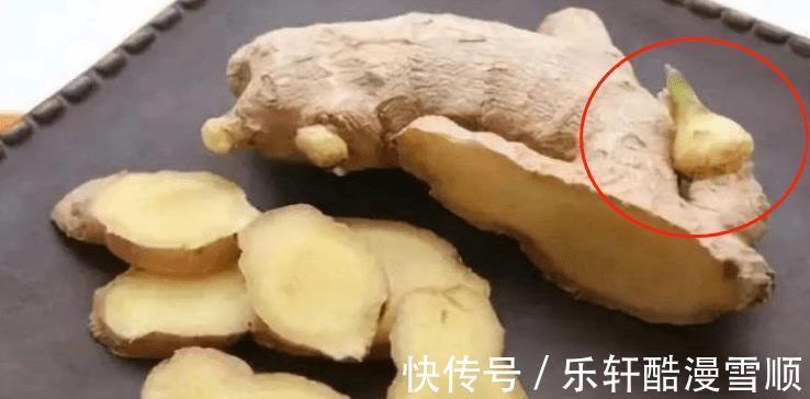 晾晒|保存生姜,不要只会放冰箱,学会一个好方法,放半年还很新鲜