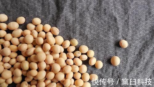 胆固醇|血脂高了不用怕，多吃这5种食物，清光血管垃圾，赶走高血脂