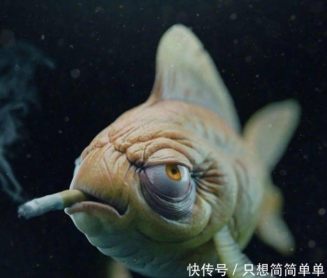 海绵|这谁受得了？？我的海绵宝宝毁了！