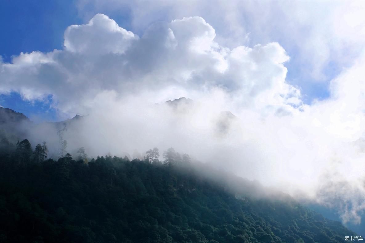 独自自驾游 欣赏最美的岗云杉林 体验环藏之旅的慢生活