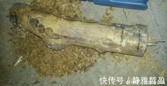 买的花盆又贵又难看？花花教你自制花盆，省钱又漂亮！