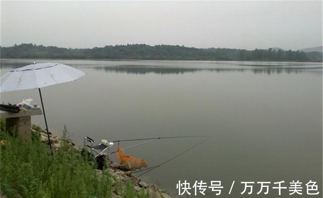 秋季|秋季钓边万能方法,浅水也能钓大货,这一点也不稀奇