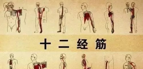 拇指|筋柔百病消!学会这招拉筋术70岁像50岁的人,益寿延年、百病不沾