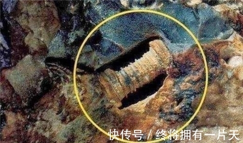 半导体|渔民捡到奇石,镶嵌2.5亿年前“芯片”,史前真的存在高等文明?