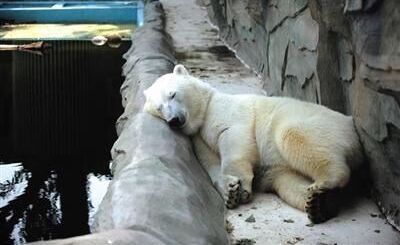 睡觉多久比较好？睡不着怎么办？几点睡觉最好？看看专家怎么说的