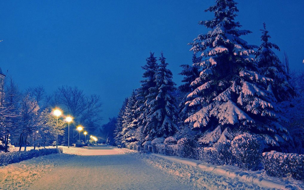  俗语|农村俗语“大雪没有雪，骡马不停歇”，你知道是什么意思？