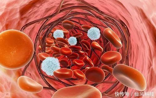 中老年人|60岁后,身体还能达到4个标准,有长寿潜质,占得越多越好