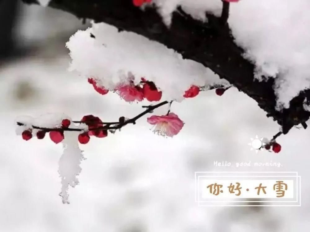  人间|人间至此雪盛时，愿君常安康！