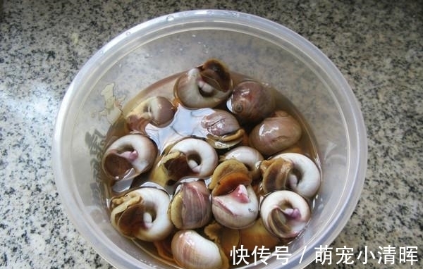 海鲜|被“误解”最深的美食，它全身是宝，比甲鱼营养，6元1斤没人买