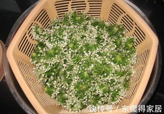 大娘|韭花酱别只加盐,内蒙大娘分享秘制做法,鲜嫩美味,蘸食拌饭都香