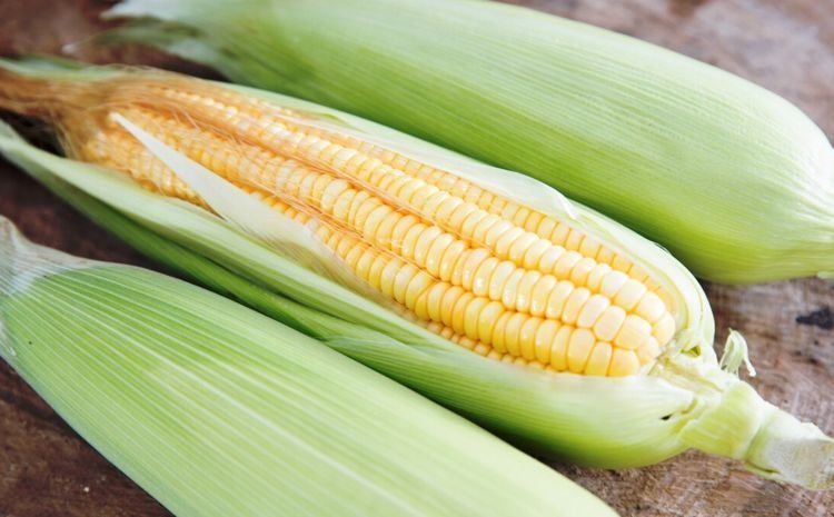 用三个技巧挑的玉米，颗颗汁水饱满，鲜甜好吃，老板：是个行家