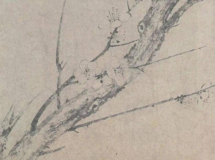 鉴赏$鉴赏|一“简”梅,极尽朴素的美