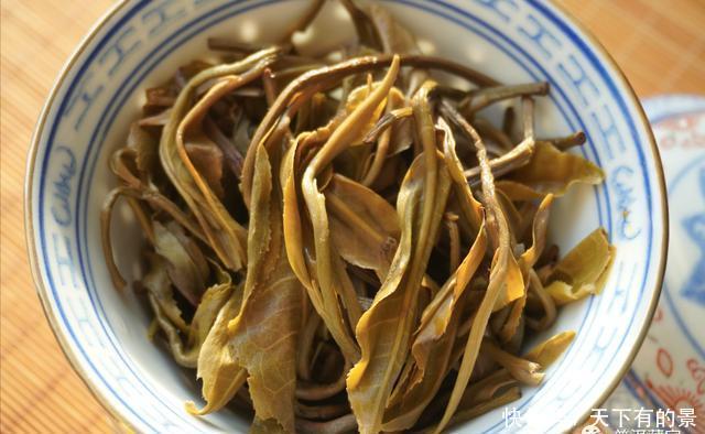 古树纯料|深度解析!纯料与拼配之争,哪个更好?