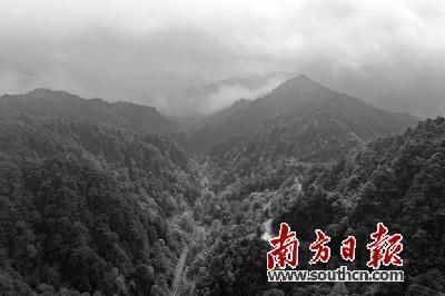 南岭：物种的博物馆