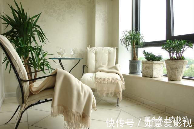 阳台再小，也能养3种树，小盆就能养，个个都是“传家宝”