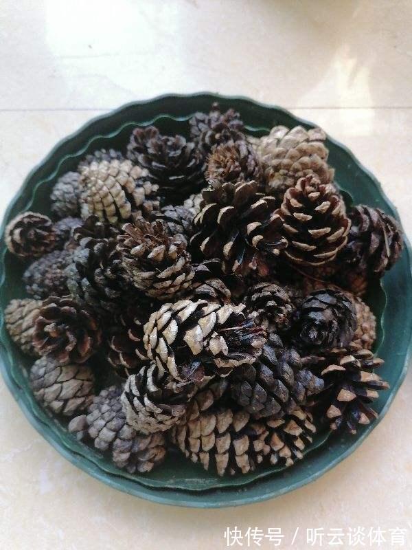 好东西|路边捡点“好东西”,拿回家养花,花长得特壮