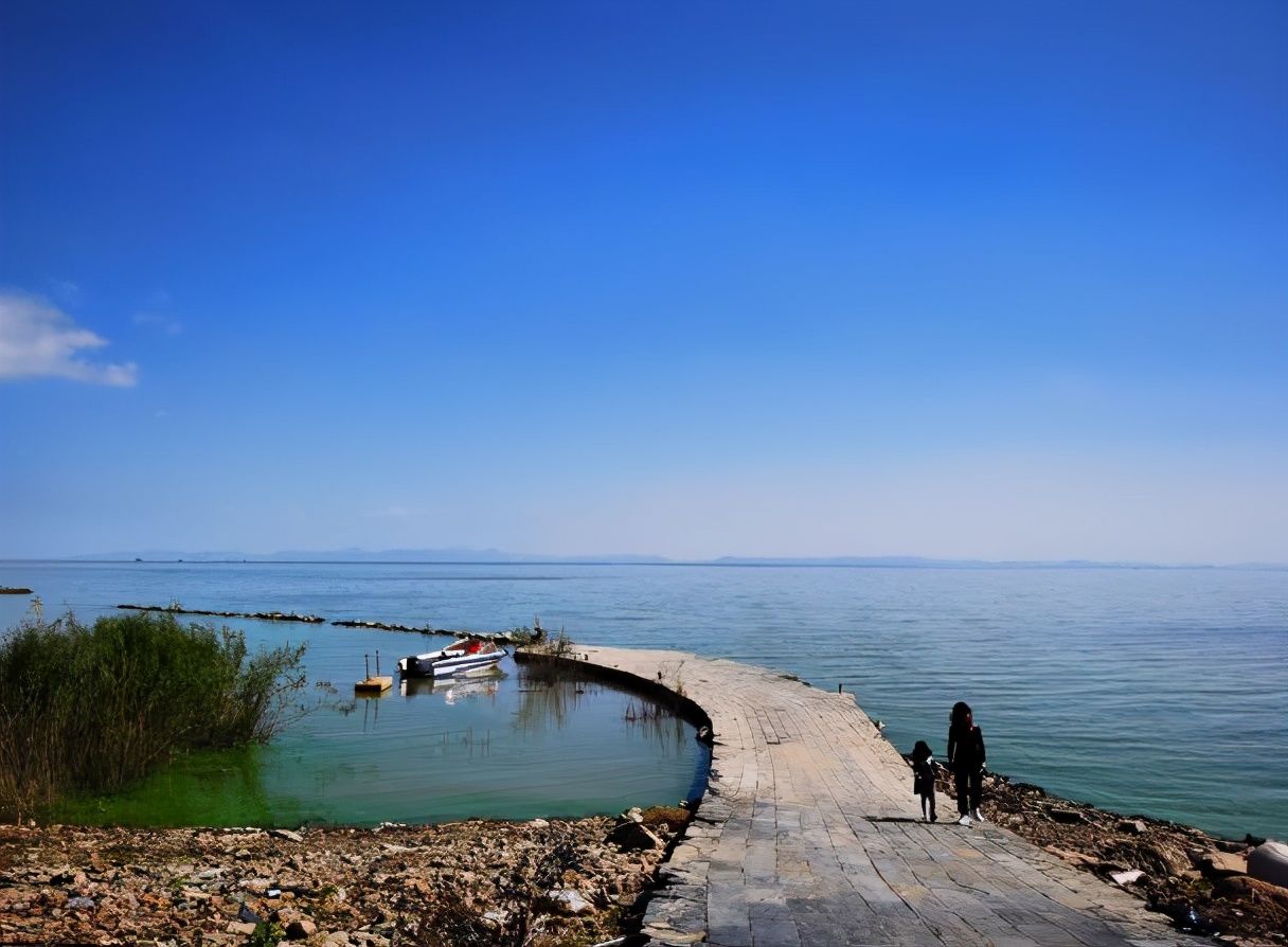 中年|合肥有个难得的湖上绿洲，登塔凭栏远眺，能见水天一色