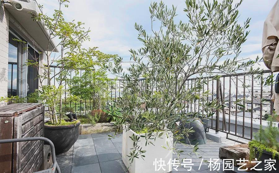 餐边柜|日本女业主115㎡房，不靠任何人，不多打一个柜子，独享15㎡露台
