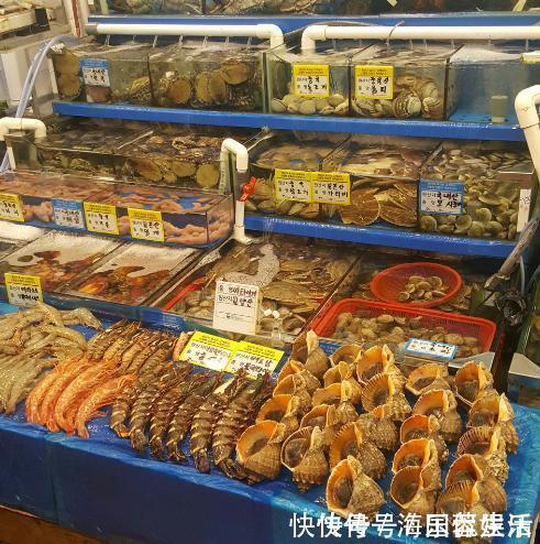 鲍鱼|吃海鲜也要讲究“时令”，老渔民不会告诉你的海鲜日历，请收好