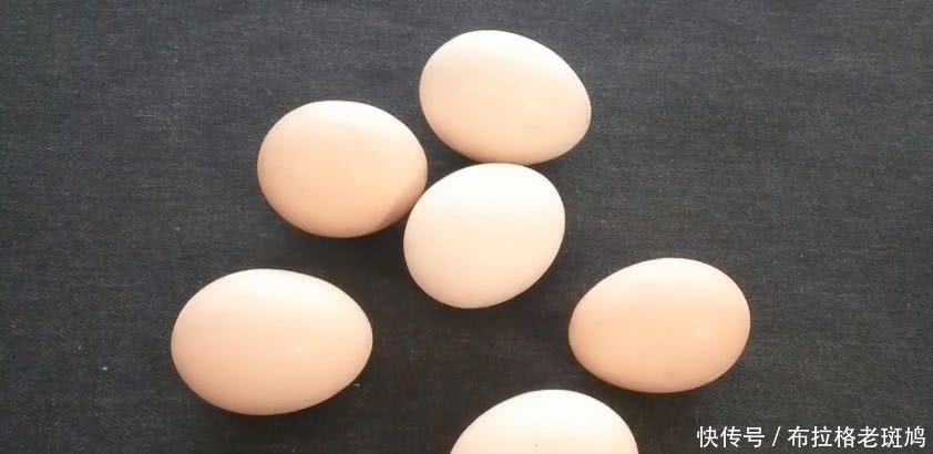鸡蛋|买鸡蛋前一定要摇一摇,很多家庭都还不清楚,亏大了