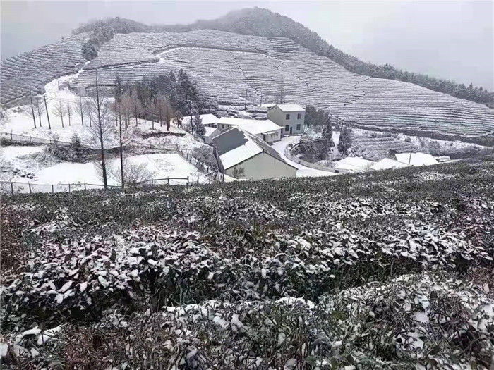 山区|象山又下雪了！山区雪景虽美路难行，非必要不上~