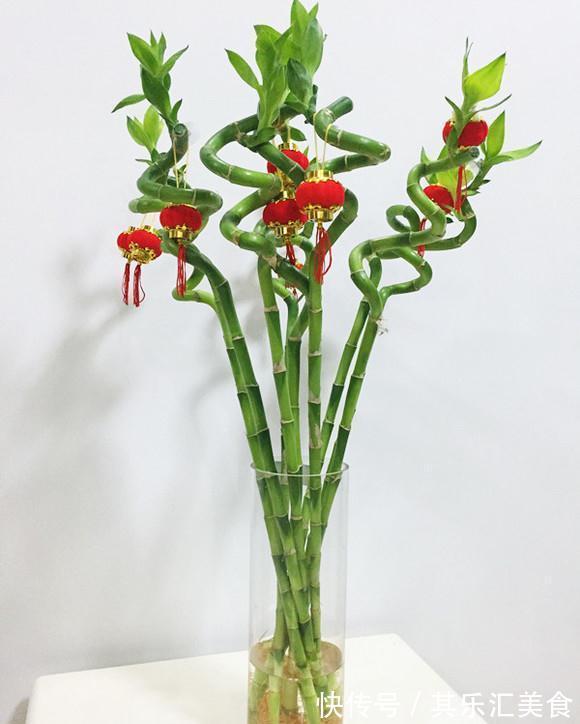 家中养“5种竹”,富贵不俗,护家祥瑞,好日子节节高升