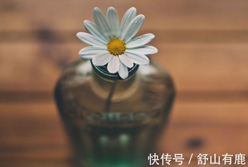 自傲!人老了,对以下4件事越看越“通透”,晚年不会差到哪里去